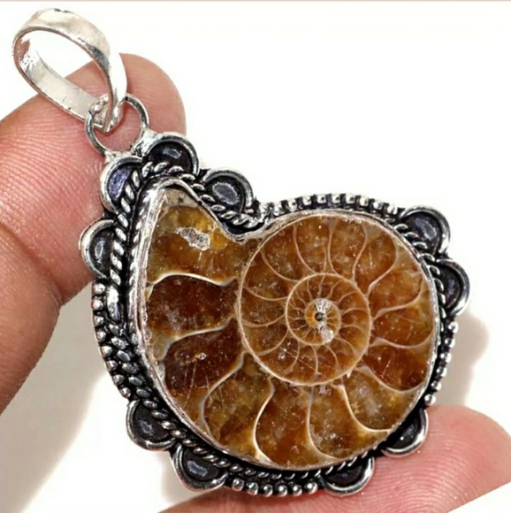 New Ammonite Fossil 925 Silver Pendant. - Picture 3 of 4